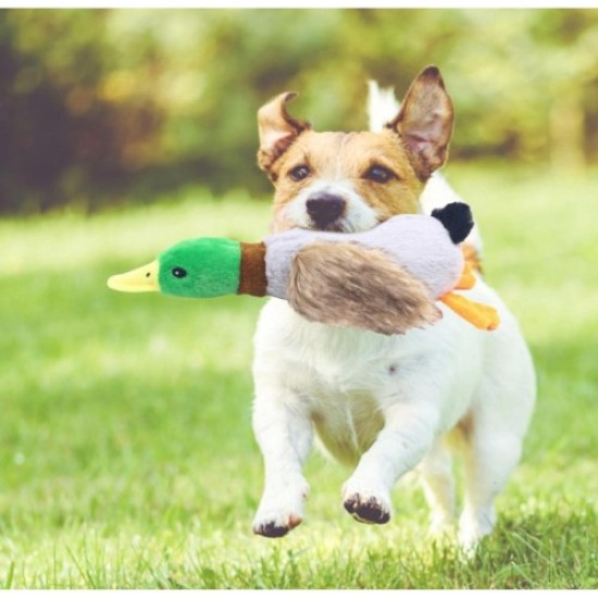 Sesli Ördek Şekilli Peluş Köpek Oyuncağı Sesli Ördek Şekilli Peluş Köpek Oyuncağı
