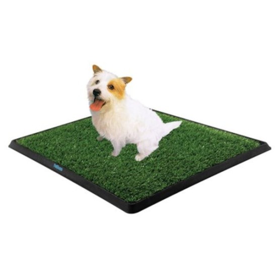 Köpek Tuvalet Eğitim Seti Köpek Tuvalet Eğitim Seti