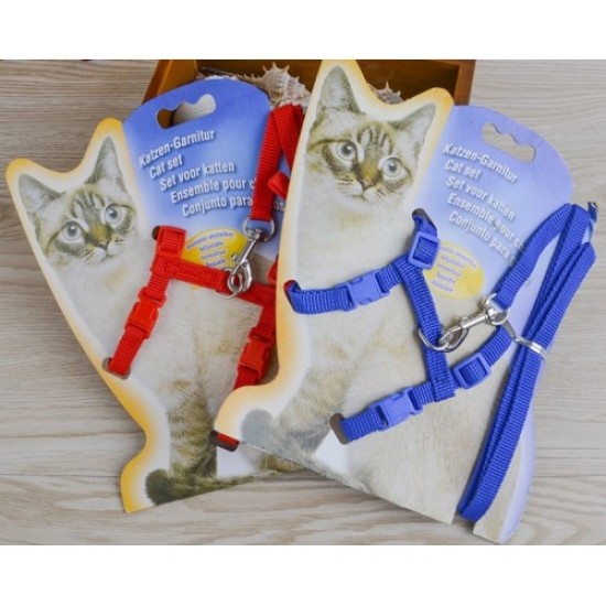 Kedi Tasması Kedi Tasması