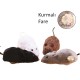 Kurmalı Fare Kedi Eğitim Oyuncağı Kurmalı Fare Kedi Eğitim Oyuncağı