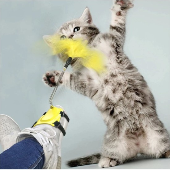 Ayağa Takılan Kedi Oyun Oltası Ayağa Takılan Kedi Oyun Oltası