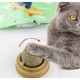 Kedi Nanesi Oyun Topu Kedi Nanesi Oyun Topu
