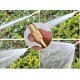 AYARLANABILIR BASINÇLI HORTUM BAŞLIĞI GOLD AYARLANABILIR BASINÇLI HORTUM BAŞLIĞI GOLD