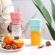 Taşınabilir Pipetli Bardak Blender Taşınabilir Pipetli Bardak Blender