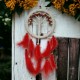 Rüya Kovan Hayat Ağacı Dream Catcher Rüya Kovan Hayat Ağacı Dream Catcher