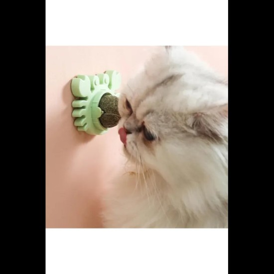 Yengeç Kedi Otu Oyun Topu Yengeç Kedi Otu Oyun Topu