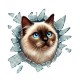 Fulcar Siamesse Araç Stickerı Fulcar Siamesse Araç Stickerı