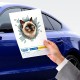 Fulcar Siamesse Araç Stickerı Fulcar Siamesse Araç Stickerı