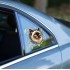 Fulcar Siamesse Araç Stickerı