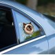 Fulcar Siamesse Araç Stickerı Fulcar Siamesse Araç Stickerı