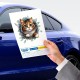 Fulcar Stray Araç Stickerı Fulcar Stray Araç Stickerı