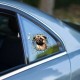 Fulcar French Bulldog Araç Stickerı Fulcar French Bulldog Araç Stickerı