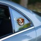 Fulcar Australian Shepherd Araç Stickerı Fulcar Australian Shepherd Araç Stickerı
