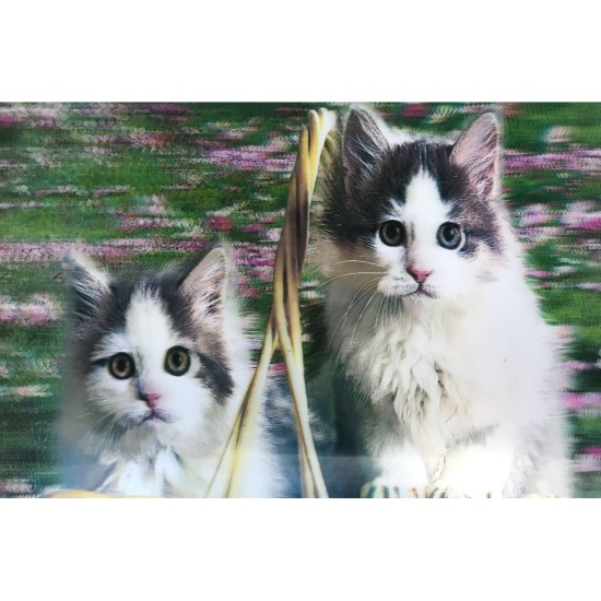 5D Elmas Boyama Kedi Tablosu 5D Elmas Boyama Kedi Tablosu