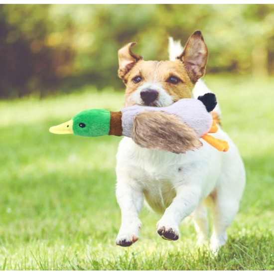 Sesli Ördek Şekilli Peluş Köpek Oyuncağı Sesli Ördek Şekilli Peluş Köpek Oyuncağı