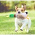 Sesli Ördek Şekilli Peluş Köpek Oyuncağı