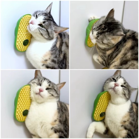 Silikon Kaşıyıcılı Kedi Otu Silikon Kaşıyıcılı Kedi Otu