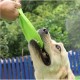 Silikon Frizbi Köpek Oyuncağı Silikon Frizbi Köpek Oyuncağı