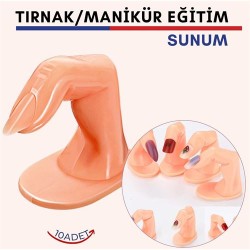 Engithalat Protez Tırnak Manikür Eğitim ve Sunum Parmakları 10 adet