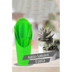 Engithalat Kaktüs Sukkulent Dikim Seti