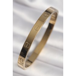 316L Çelik Gold Renk Model Kadın Kelepçe
