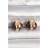 Pirinç Gold Renk Leopar Desen 3D Daire Model Kadın Küpe