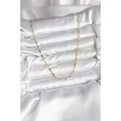 14K Gold Renk Kaplama Ataç Zincir Model CM Kadın Kolye