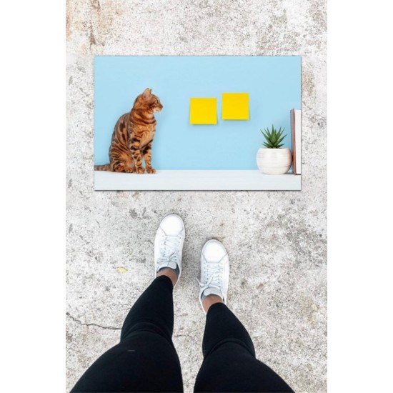 Dijital Baskı Mavi Sarman Kedi Desen Kapı Önü Paspası K-1029 Dijital Baskı Mavi Sarman Kedi Desen Kapı Önü Paspası K-1029