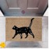 Kapı Önü Paspası Dekoratif Dijital Baskı Kedi P-2496