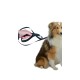 KÖPEK GEZDİRME İPİ KÖPEK GEZDİRME İPİ