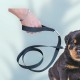 KÖPEK GEZDİRME İPİ KÖPEK GEZDİRME İPİ