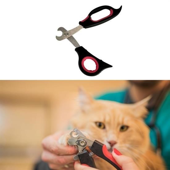 Büyük Irk Köpek Kedi Çelik Uçlu Evcil Hayvan Tırnak Makası Pati Bakım Aleti Ergonomik Kaymaz Büyük Irk Köpek Kedi Çelik Uçlu Evcil Hayvan Tırnak Makası Pati Bakım Aleti Ergonomik Kaymaz