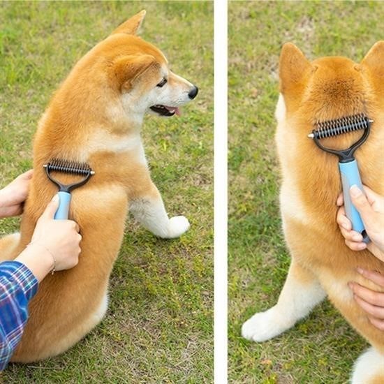 Plastik Saplı Metal Kedi Köpek Bakım Kıtık Tüy Topak Açıcı Tarak Plastik Saplı Metal Kedi Köpek Bakım Kıtık Tüy Topak Açıcı Tarak