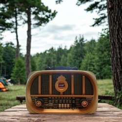Orta Boy Retro, Nostaljik, Ahşap Tasarım Bluetooth Hoparlörlü, Şarjlı, Taşınabilir Oval Ön Yüzlü FM/AM Destekli Radyo NS6687