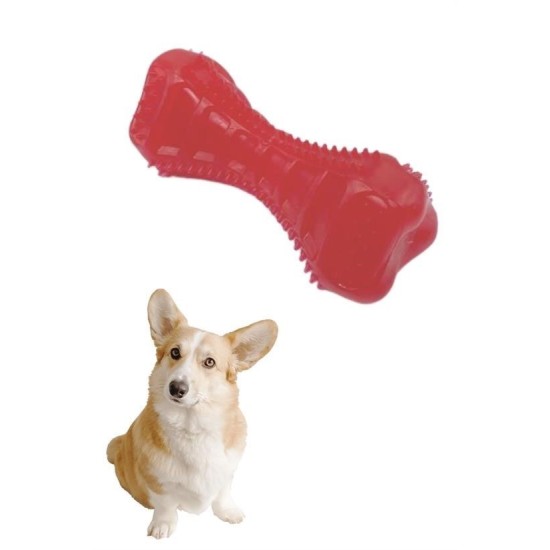 Köpekler İçin Diş Kaşıma Oyuncağı Tırtıklı Yapıda Plastik Dumbell Köpekler İçin Diş Kaşıma Oyuncağı Tırtıklı Yapıda Plastik Dumbell