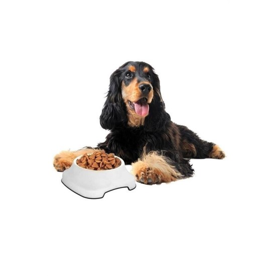 Silikon Kaydırmaz Taban Plastik Kedi ve Köpek Mama ve Su Kabı 2 L Silikon Kaydırmaz Taban Plastik Kedi ve Köpek Mama ve Su Kabı 2 L