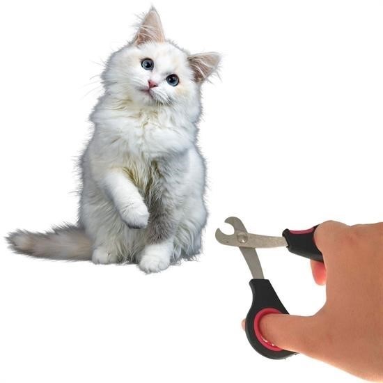 Büyük Irk Köpek Kedi Çelik Uçlu Evcil Hayvan Tırnak Makası Pati Bakım Aleti Ergonomik Kaymaz Büyük Irk Köpek Kedi Çelik Uçlu Evcil Hayvan Tırnak Makası Pati Bakım Aleti Ergonomik Kaymaz