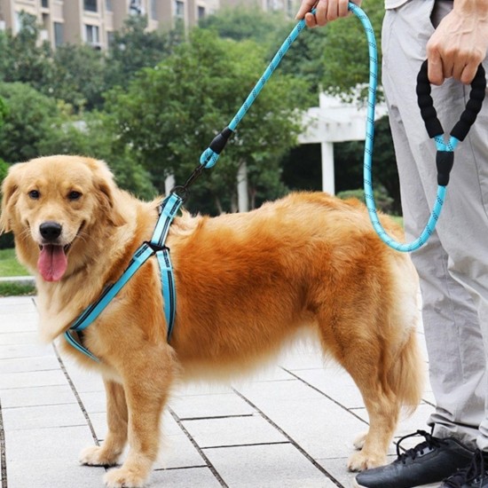 Reflektörlü Fosforlu Köpek Gezdirme Halatı Tasma Kayışı Metal Kancalı 130 cm Reflektörlü Fosforlu Köpek Gezdirme Halatı Tasma Kayışı Metal Kancalı 130 cm