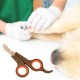 Küçük Çelik Uçlu Kedi Köpek Evcil Hayvan Tırnak Makası Pati Bakım Aleti Ergonomik Kaymaz Sap Küçük Çelik Uçlu Kedi Köpek Evcil Hayvan Tırnak Makası Pati Bakım Aleti Ergonomik Kaymaz Sap