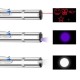 Usb İle Şarj Edilebilen 3In 1 Kırmızı Işık +Beyaz Led Meşale Işık + Uv El Feneri Kedi Lazeri Usb İle Şarj Edilebilen 3In 1 Kırmızı Işık +Beyaz Led Meşale Işık + Uv El Feneri Kedi Lazeri