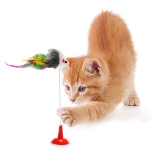 2li Vantuzlu Fareli Tüylü Hareketli Çanlı ve Esneyen Eğlenceli Peluş Kedi Oyuncağı 2li Vantuzlu Fareli Tüylü Hareketli Çanlı ve Esneyen Eğlenceli Peluş Kedi Oyuncağı