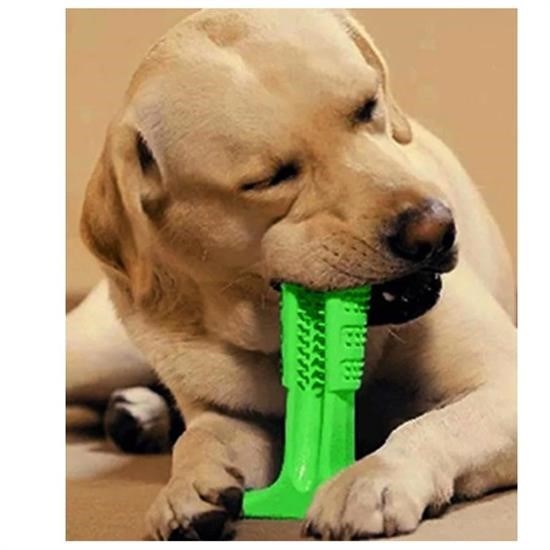 Köpek Diş Temizleyici ve Kaşıyıcı Sağlıklı Küçük Boy Oyuncak Köpek Diş Temizleyici ve Kaşıyıcı Sağlıklı Küçük Boy Oyuncak