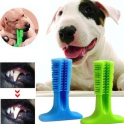 Köpek Diş Temizleyici ve Kaşıyıcı Sağlıklı Küçük Boy Oyuncak