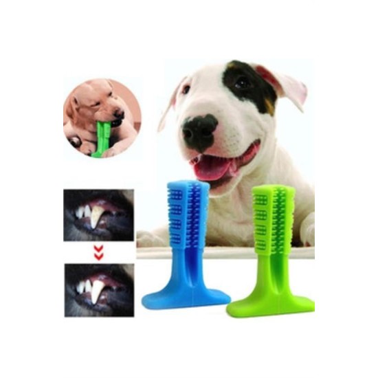 Köpek Diş Temizleyici ve Kaşıyıcı Sağlıklı Küçük Boy Oyuncak Köpek Diş Temizleyici ve Kaşıyıcı Sağlıklı Küçük Boy Oyuncak