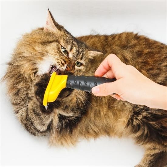 Uzun Tüylü Köpekler İçin Kolay Tarama Fırçası Temizlenebilir Çelik Tarak Tüy Toplayıcı Mediu Uzun Tüylü Köpekler İçin Kolay Tarama Fırçası Temizlenebilir Çelik Tarak Tüy Toplayıcı Mediu