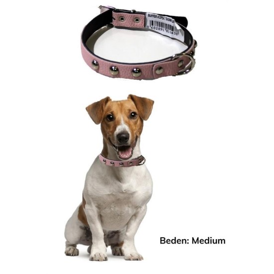 Yumuşak Dokulu Deri Köpek Gezdirme Boyun Tasması Medium Yumuşak Dokulu Deri Köpek Gezdirme Boyun Tasması Medium