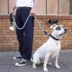 Reflektörlü Fosforlu Köpek Gezdirme Halatı Tasma Kayışı Metal Kancalı 130 cm Reflektörlü Fosforlu Köpek Gezdirme Halatı Tasma Kayışı Metal Kancalı 130 cm