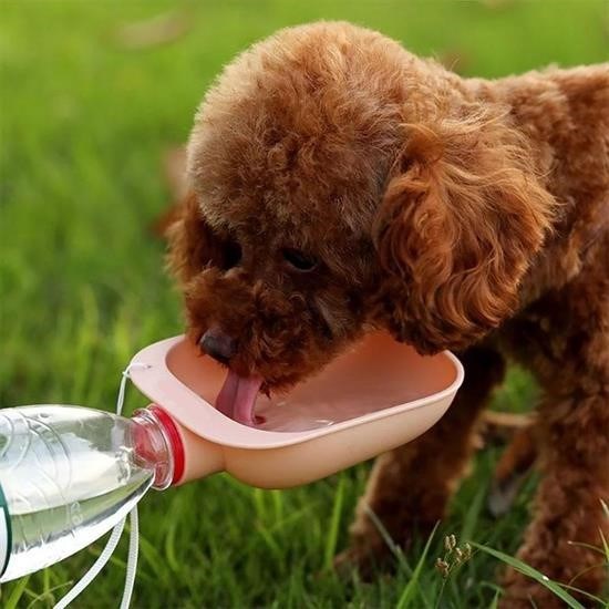 Evcil Hayvan Plastik Yıkanabilir Taşınabilir Su Şişesi Bağlantılı Su Kabı Evcil Hayvan Plastik Yıkanabilir Taşınabilir Su Şişesi Bağlantılı Su Kabı