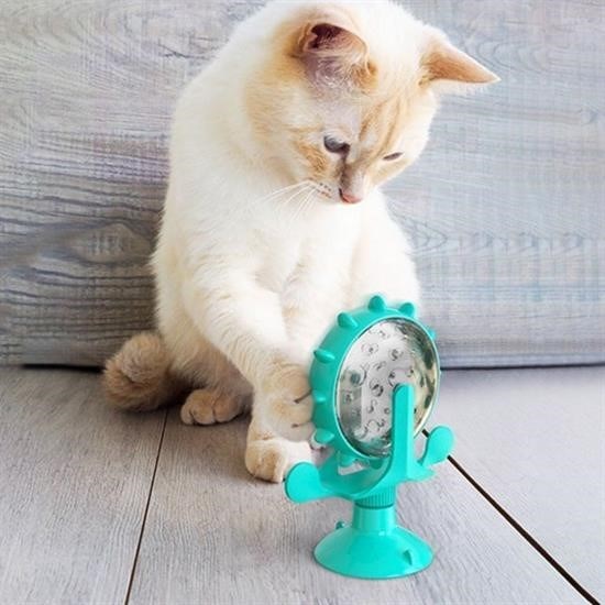 Vantuzlu Zilli İnteraktif Dönebilen Mama Kaplı Renkli Eğlenceli Eğitici Kedi Oyuncağı Vantuzlu Zilli İnteraktif Dönebilen Mama Kaplı Renkli Eğlenceli Eğitici Kedi Oyuncağı