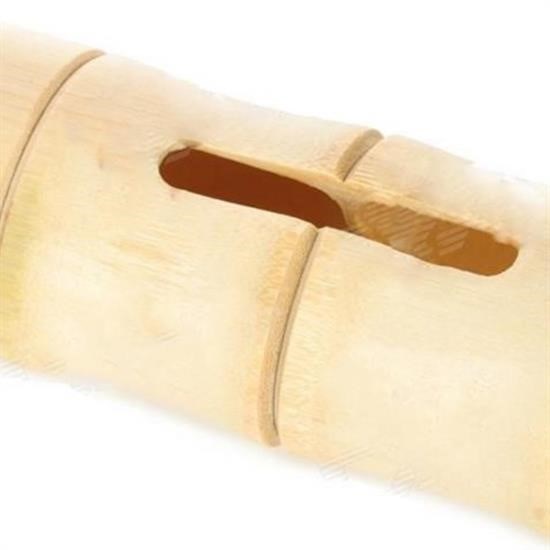 6 x 1 cm Girişli Kılıflı Bambu Ağacı Akustik Ses Yükseltici Aparat 6 x 1 cm Girişli Kılıflı Bambu Ağacı Akustik Ses Yükseltici Aparat